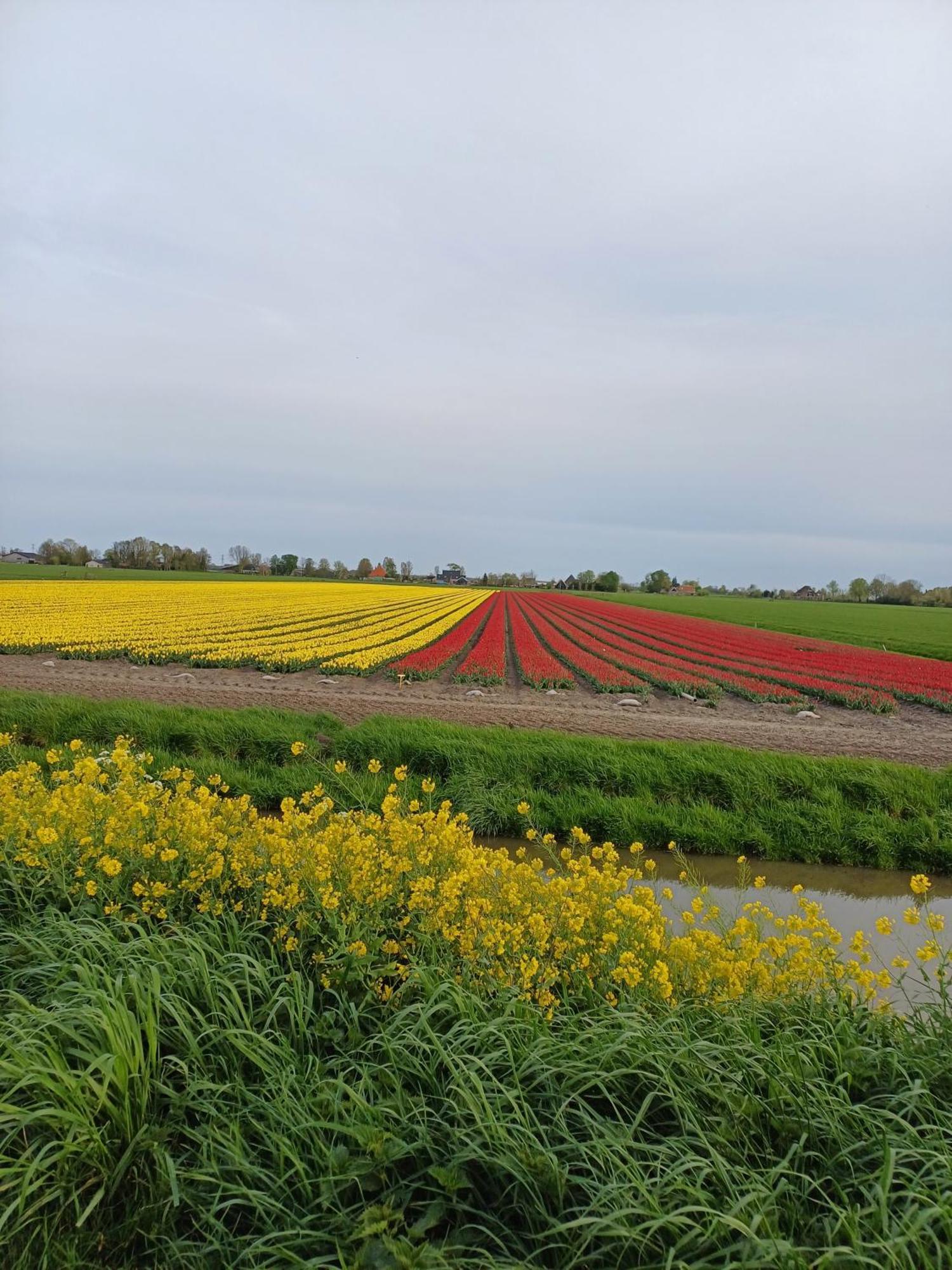 Kota Wadway Spanbroek Exterior foto